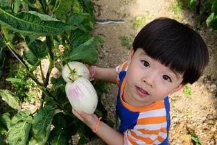 小小红娱乐吃瓜说  第3张